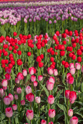 Similar image 9666177