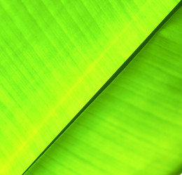 Similar image 9666417