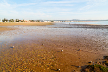 Similar image 9666577