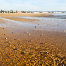 Similar image 9666589