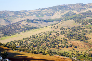 Similar image 9666774