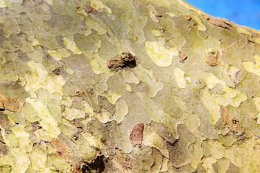 Similar image 9666787