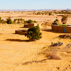 Similar image 9666794