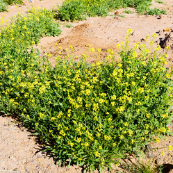 Similar image 9666796