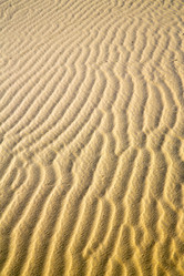 Similar image 9666811