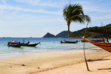 Similar image 9667229