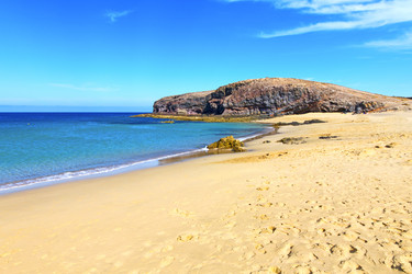 Similar image 9667233