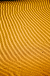 Similar image 9667465