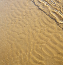 Similar image 9667667