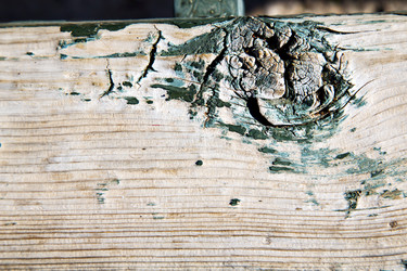 Similar image 9667693