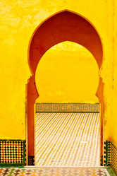 Similar image 9667885