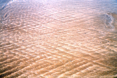 Similar image 9667892