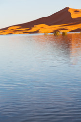 Similar image 9667902