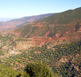 Similar image 9667923