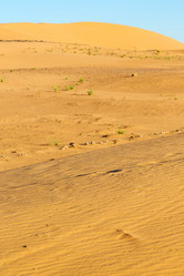 Similar image 9668128