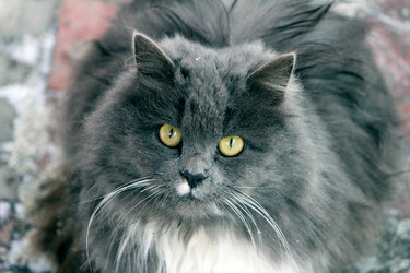 Similar image 9697693