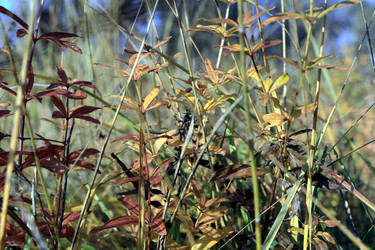 Similar image 9697699