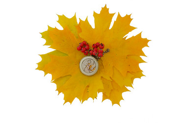 Similar image 9697982