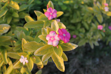 Similar image 9699511