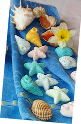 Similar image 9699529