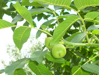 Similar image 9699537