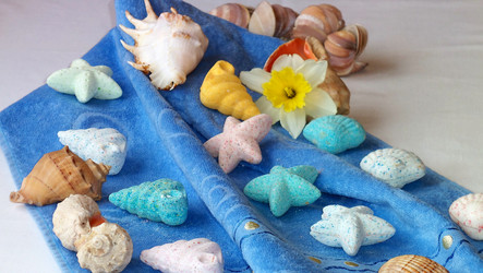 Similar image 9699545