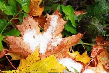 Similar image 9700360