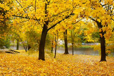 Similar image 9701339