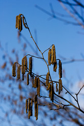 Similar image 9701454