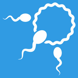 Similar image 9704628