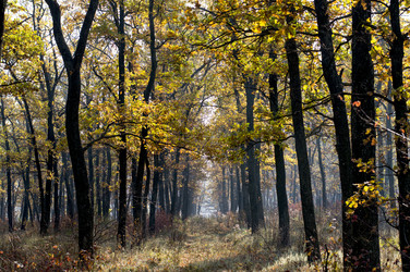 Similar image 9705265