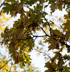 Similar image 9705266