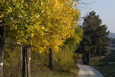 Similar image 9705267