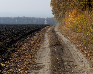 Similar image 9705268