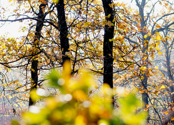 Similar image 9705269