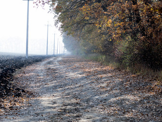 Similar image 9705273