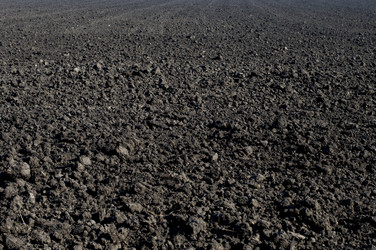 Similar image 9705276