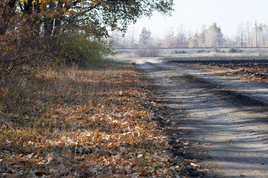 Similar image 9705279