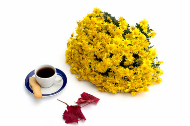 Similar image 9705286