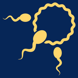 Similar image 9705752