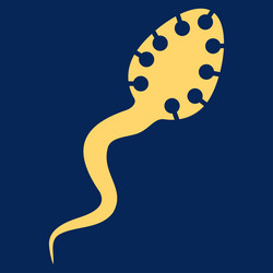 Similar image 9705785