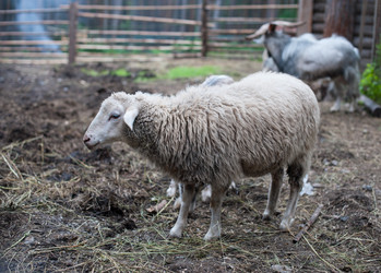 Similar image 9705868