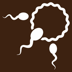 Similar image 9706546