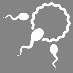 Similar image 9706944