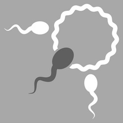 Similar image 9707498