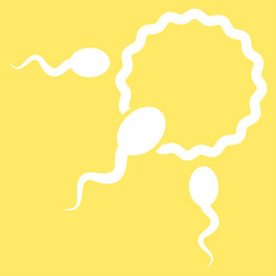 Similar image 9708779