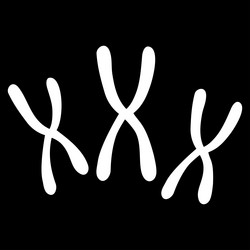 Similar image 9709387