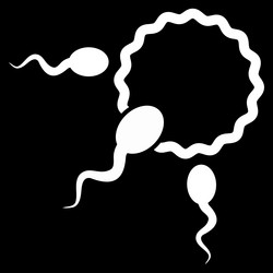 Similar image 9709455