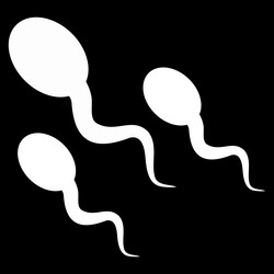 Similar image 9709488