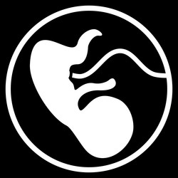 Similar image 9709564